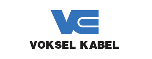 PT Voksel